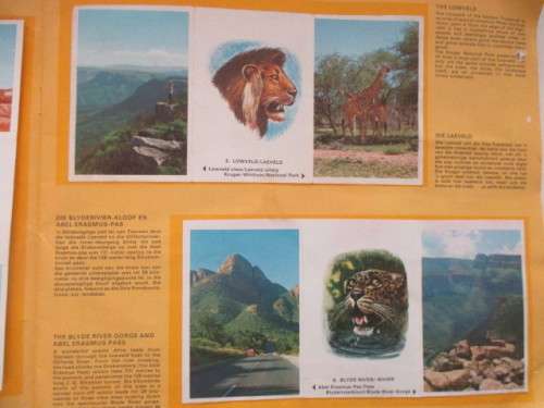 SHELL SERVICE FUEL STATION COLLECTOR ALBUM WITH CARDS