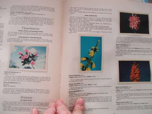 OUR FLOWER PARADISE  ALBUM WITH COCA- COLA COLLECTOR CARDS - 1964