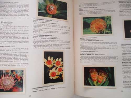 OUR FLOWER PARADISE  ALBUM WITH COCA- COLA COLLECTOR CARDS - 1964
