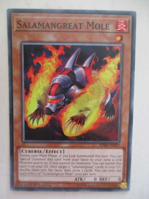 YU-GI-OH TRADING CARD - SALAMANGREAT MOLE