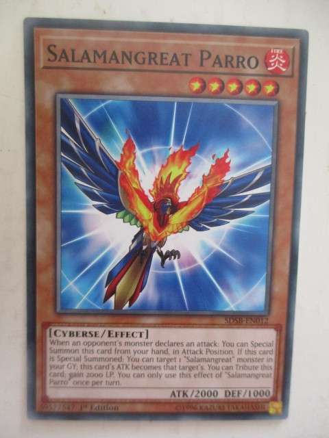 YU-GI-OH TRADING CARD - SALAMANGREAT PARRO
