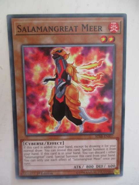 YU-GI-OH TRADING CARD - SALAMANGREAT MEER
