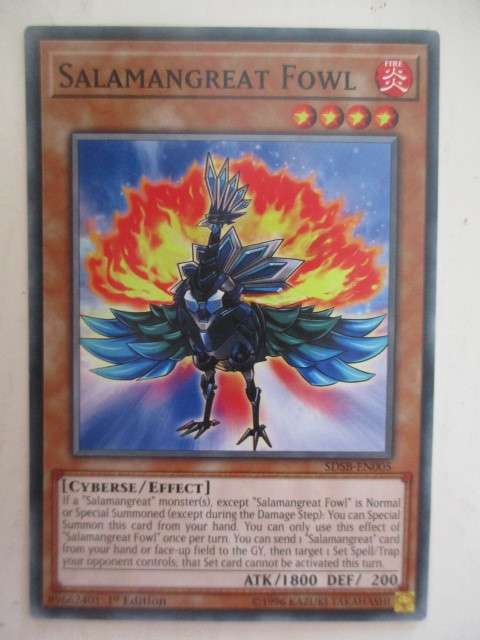 YU-GI-OH TRADING CARD - SALAMANGREAT FOWL