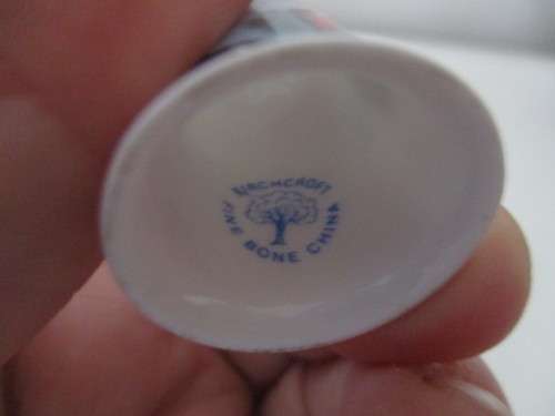 LOVELY THIMBLE - PRINCE CHARLES AND PRINCESS OF WALES  - BIRCHCROFT  FINE BONE CHINA
