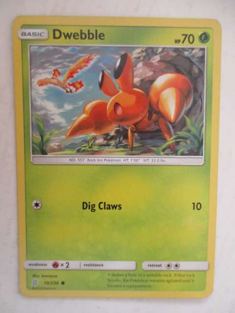 POKEMON TRADING CARD - DWEBBLE