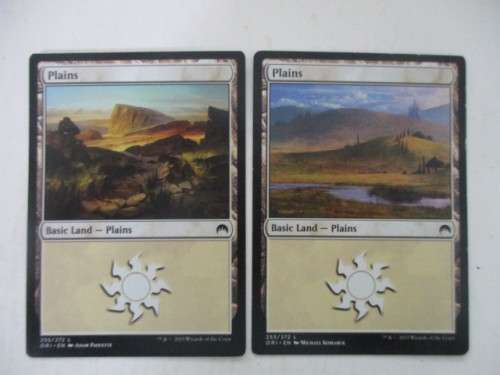 MAGIC THE GATHERING TRADING CARDS - LOT OF 2 LAND