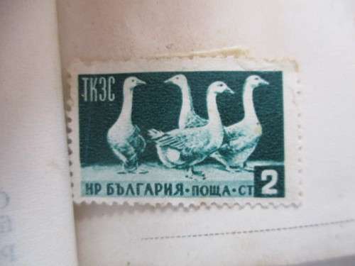 4 USED MOUNTED STAMPS