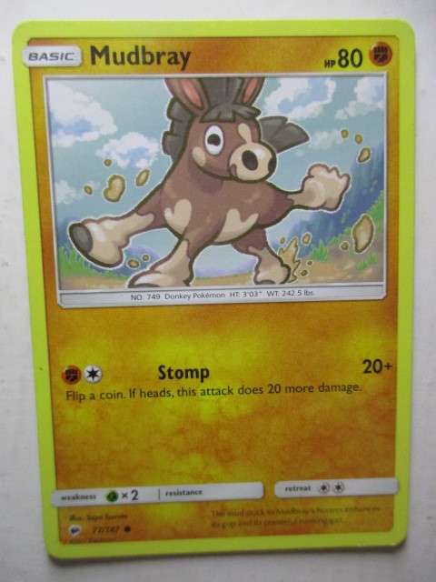 POKEMON TRADING CARD - MUDBRAY