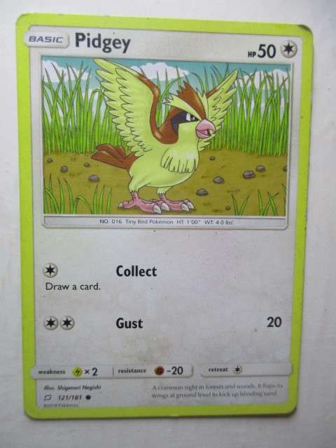 POKEMON TRADING CARD - PIDGEY