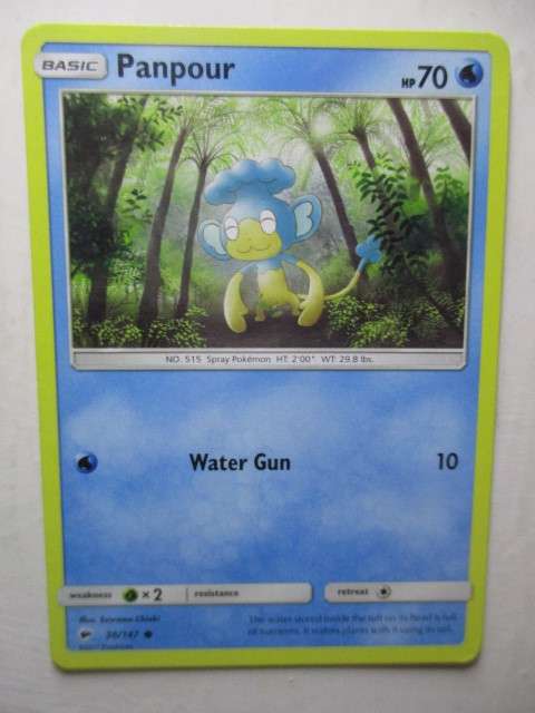 POKEMON TRADING CARD- PANPOUR