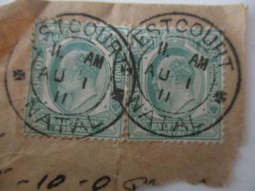 CAPE OF GOOD HOPE - PAIR OF USED STAMPS
