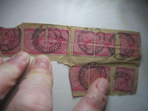 NATAL QUEEN VICTORIA STAMPS