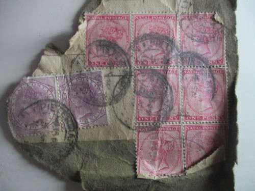 NATAL QUEEN VICTORIA LOT OF QUEEN VICTORIA STAMPS