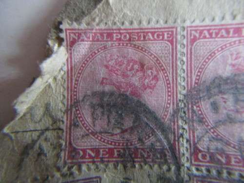 NATAL QUEEN VICTORIA LOT OF QUEEN VICTORIA STAMPS