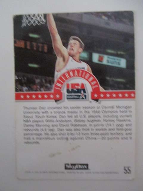 SKYBOX BASKET BALL TRADING CARD - DAN MAJERLE