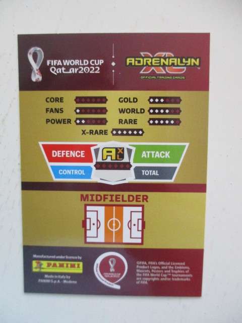 PANINI SOCCER WORLD CUP CARD - 2022 - SERGIO BUSQUETS -  FOIL CARD - MINT