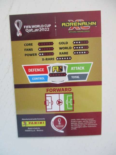 PANINI SOCCER WORLD FIFA CUP 2022 - MARTIN BRAITHWAITE - CARD IN MINT CONDITION