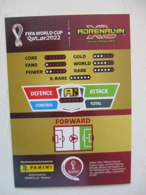 PANINI FIFA WORLD CUP 2022 - ROBERT LEWANDDOWSKI - CARD IN MINY CONDITION