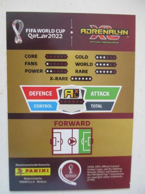 PANINI FIFA SOCCER  WORLD CUP  2022 - GABRIEL JESUS - CARD IN MINT CONDITION