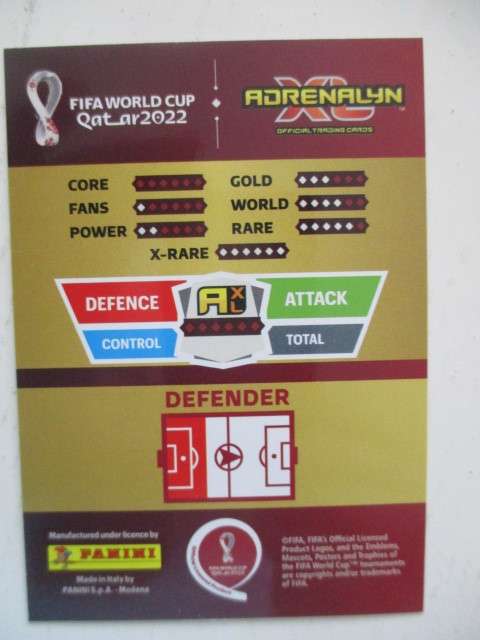 PANINI FIFA SOCCER WORLD CUP  - 2022  DEANDRE YEDLIN -  - CARD IN MINT CONDITION