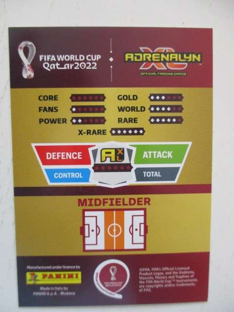 PANINI WORLD CUP FIFA SOCCER CUP 2022 - AHMAD NOUROLLAHI - CARD IN MINT CONDITION