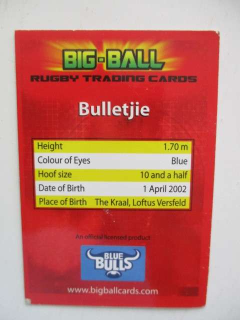 VICTOR MATFIELD  CARD BIT CREASED FOIL CARD BLUE BULLS  AND BULLETJIE CARD