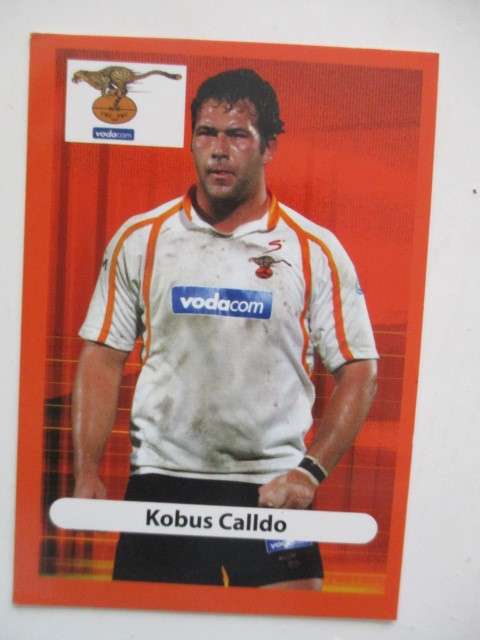 KOBUS CALLDO  AND CHEETAH  TRADING CARDS  CHEETAH TEAM