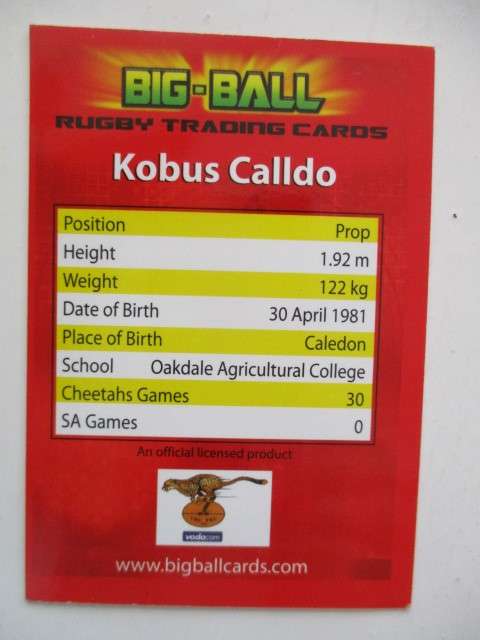 KOBUS CALLDO  AND CHEETAH  TRADING CARDS  CHEETAH TEAM