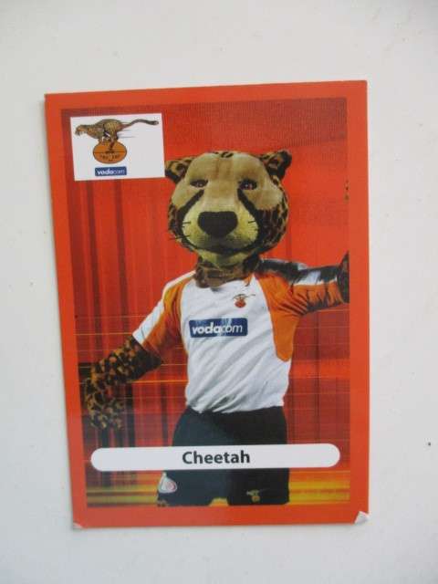KOBUS CALLDO  AND CHEETAH  TRADING CARDS  CHEETAH TEAM