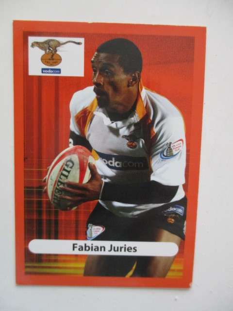 HENNIE DANILLER AND FABIAN JURIES CHEETAH TRADING CARDS