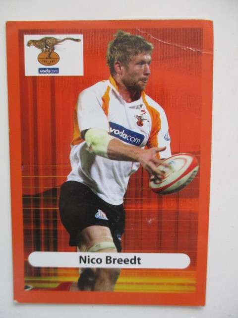 NICO BREEDT AND  LUCAS KABAMBA  FLOORS CHEETAHS RUGBY TRADING CARDS