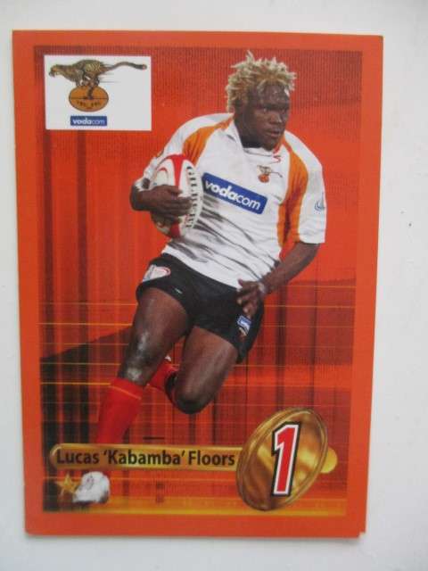 NICO BREEDT AND  LUCAS KABAMBA  FLOORS CHEETAHS RUGBY TRADING CARDS