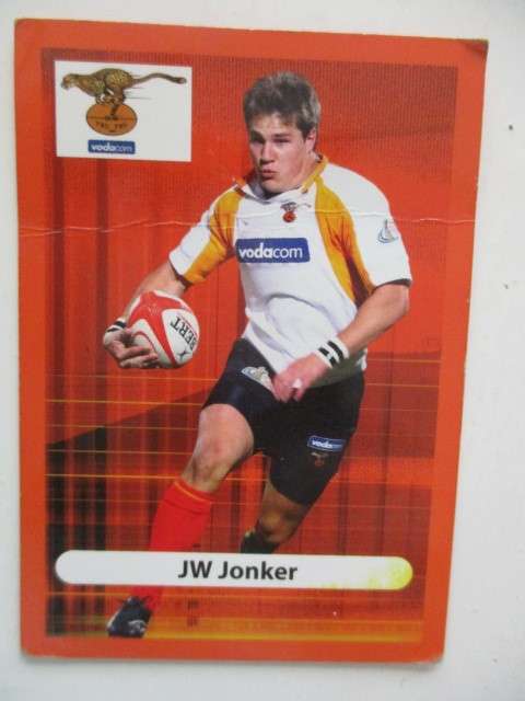 JW JONKER AND ADRIAAN STRAUSS TRADING CARDS - CHEETAH TEAM