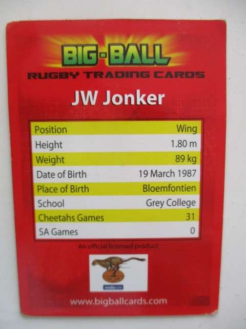 JW JONKER AND ADRIAAN STRAUSS TRADING CARDS - CHEETAH TEAM