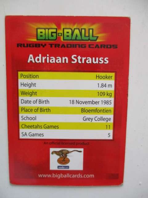 JW JONKER AND ADRIAAN STRAUSS TRADING CARDS - CHEETAH TEAM