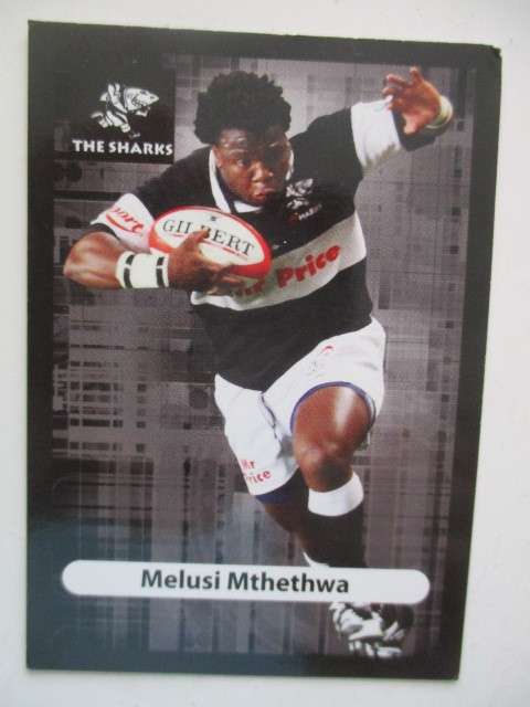 MELUSI MTHETHWA  AND ALBERT VAN DEN BERG RUGBY TRADING CARDS - SHARKS