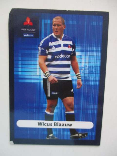 TWO LOVELYRUGBY TRADING CARDS - WICUS BLAAUW AND DUSTY NOBLE - W.P AND CHEETAHS