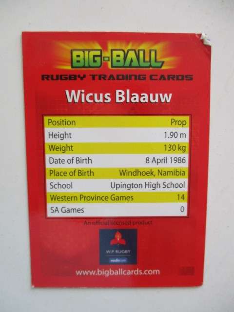 TWO LOVELYRUGBY TRADING CARDS - WICUS BLAAUW AND DUSTY NOBLE - W.P AND CHEETAHS