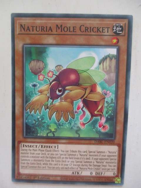 YU-GI-OH TRADING CARD - NATURIA MOLE CRICKET