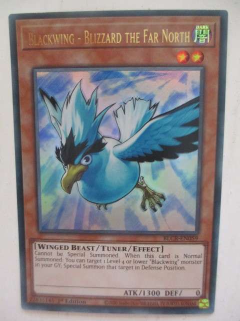 YU-GI-OH TRADING CARD - BLACKWING - BLIZZARD THE FAR NORTH / FOIL CARD / SHINY