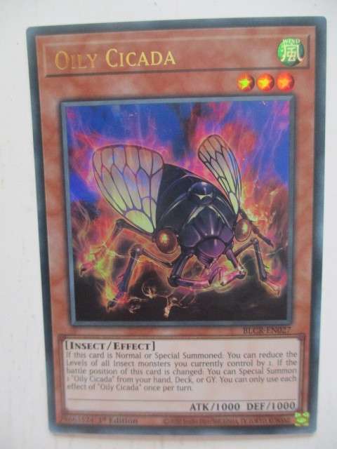 YU-GI-OH TRADING CARD - OILY CICADA - FOIL CARD SHINY