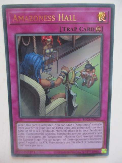 YU-GI-OH TRADING CARD - AMAZONESS HALL / FOIL CARD - SHINY CARD
