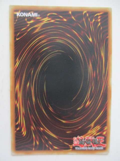 YU-GI-OH TRADING CARD - AMAZONESS HALL / FOIL CARD - SHINY CARD