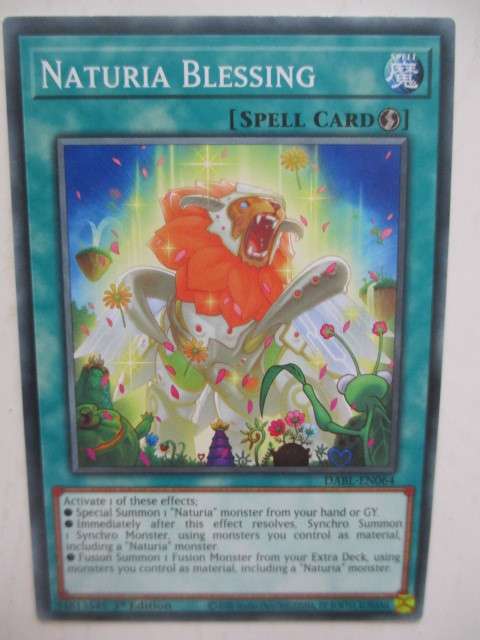 YU-GI-OH TRADING CARD - NATURIA BLESSING