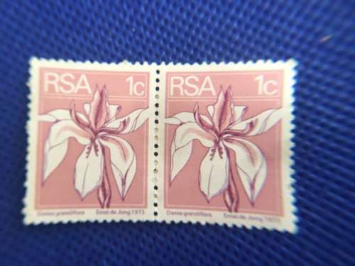 SOUTH AFRICA 1c  unused  PINK IRIS STAMP 1973