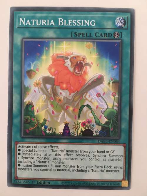 YU-GI-OH TRADING CARD - NATURIA BLESSING