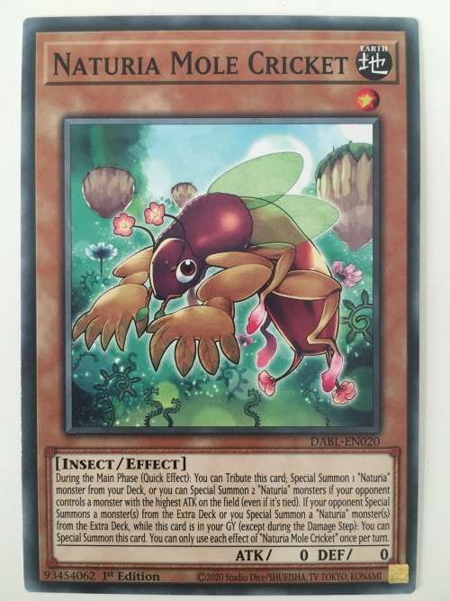 YU-GI-OH TRADING CARD - NATURIA MOLE CRICKET