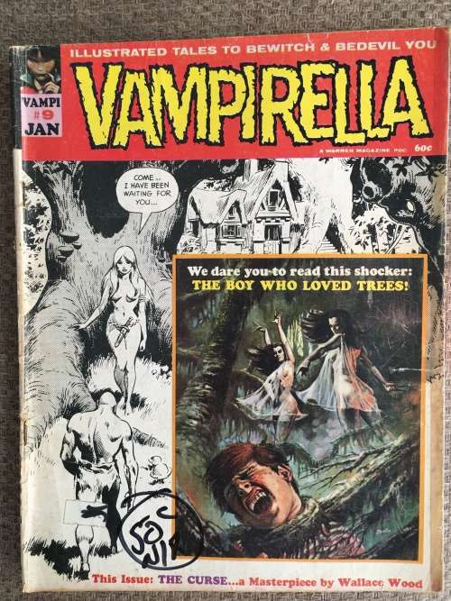 VINTAGE - VAMPIRELLA NO. 9 - 1970