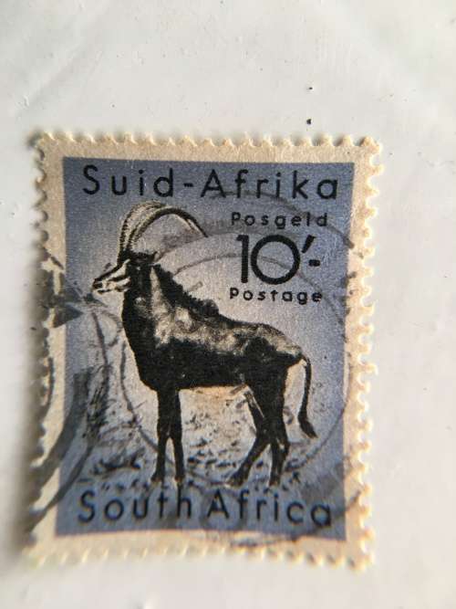 SOUTH AFRICA USED SABLE STAMP