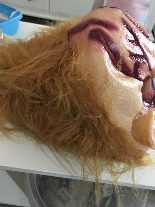 AUTOGRAPHED / SIGNED - ED GALE -  IS  **CHUCKY***   IN CHILDS PLAY A4 SIZE AND FREE CHUCKY MASK!!!!